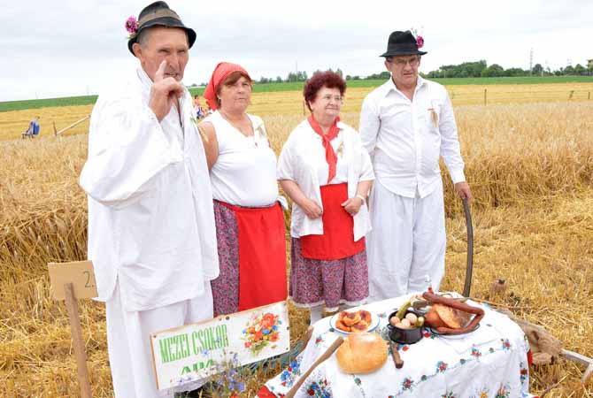 Hagyományos Aratás Szenttamáson 2016. június 18. képek